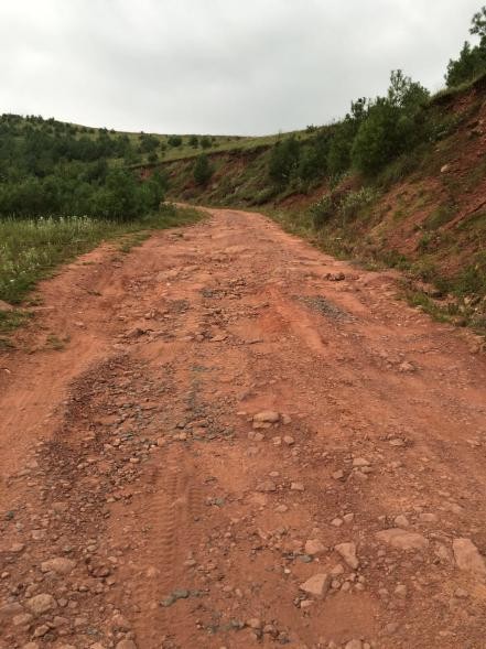 1565768521788651.jpg 1565768521788651.jpg