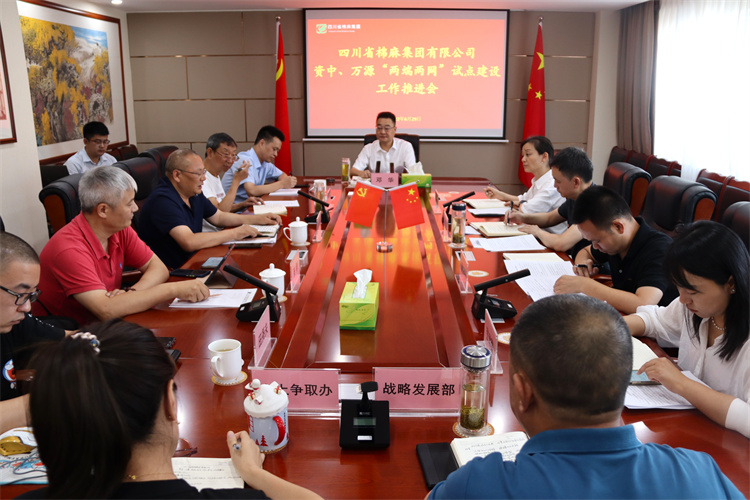 邓华主持召开资中、万源“两端两网”试点建筑工作推进会