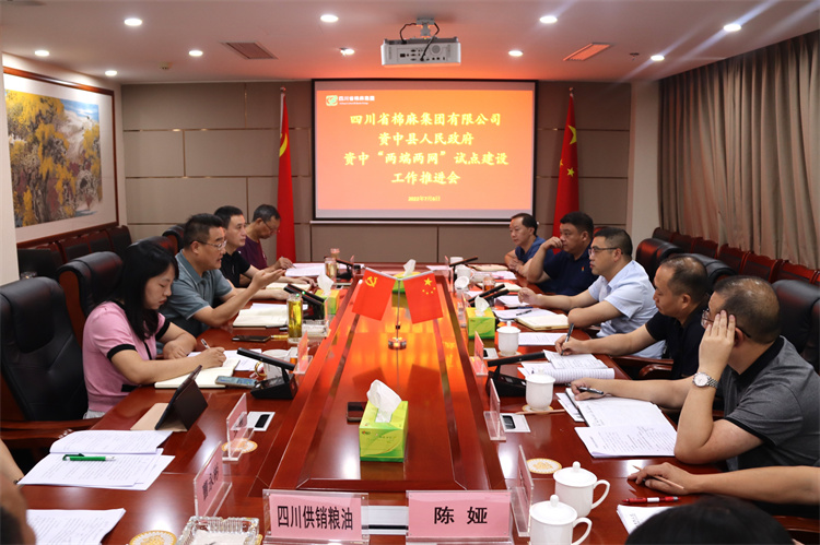 集团公司召开与资中县人民政府“两端两网”试点建筑工作推进会